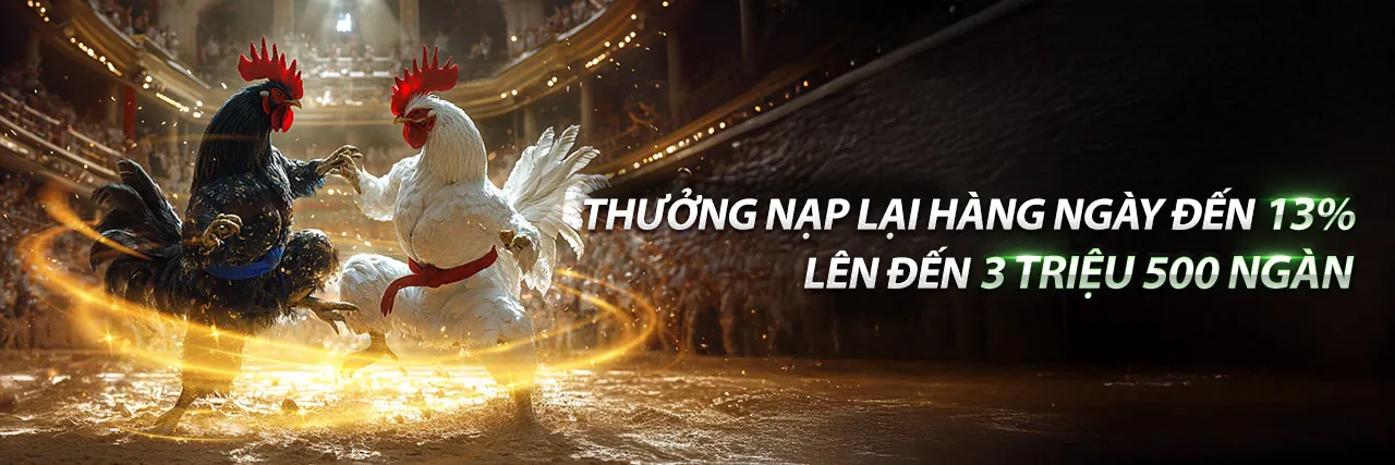 Hình ảnh đá gà trực tiếp sôi động tại AE3888